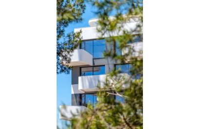 Piso - Obra nueva - Guardamar del Segura -
                Puerto Deportivo