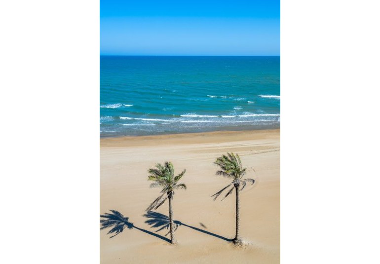 Resale - Apartment -
Guardamar del Segura - Guardamar