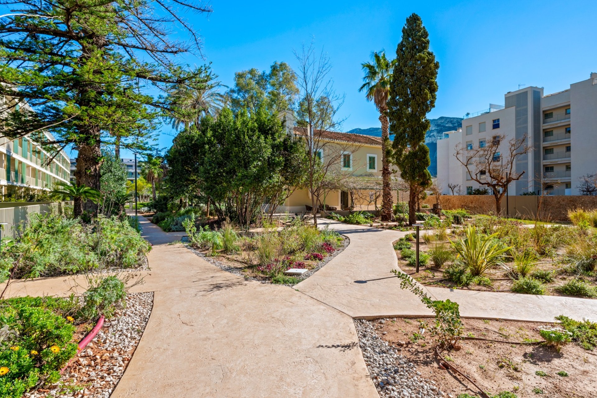 Resale - Penthouse -
Denia - Puerto