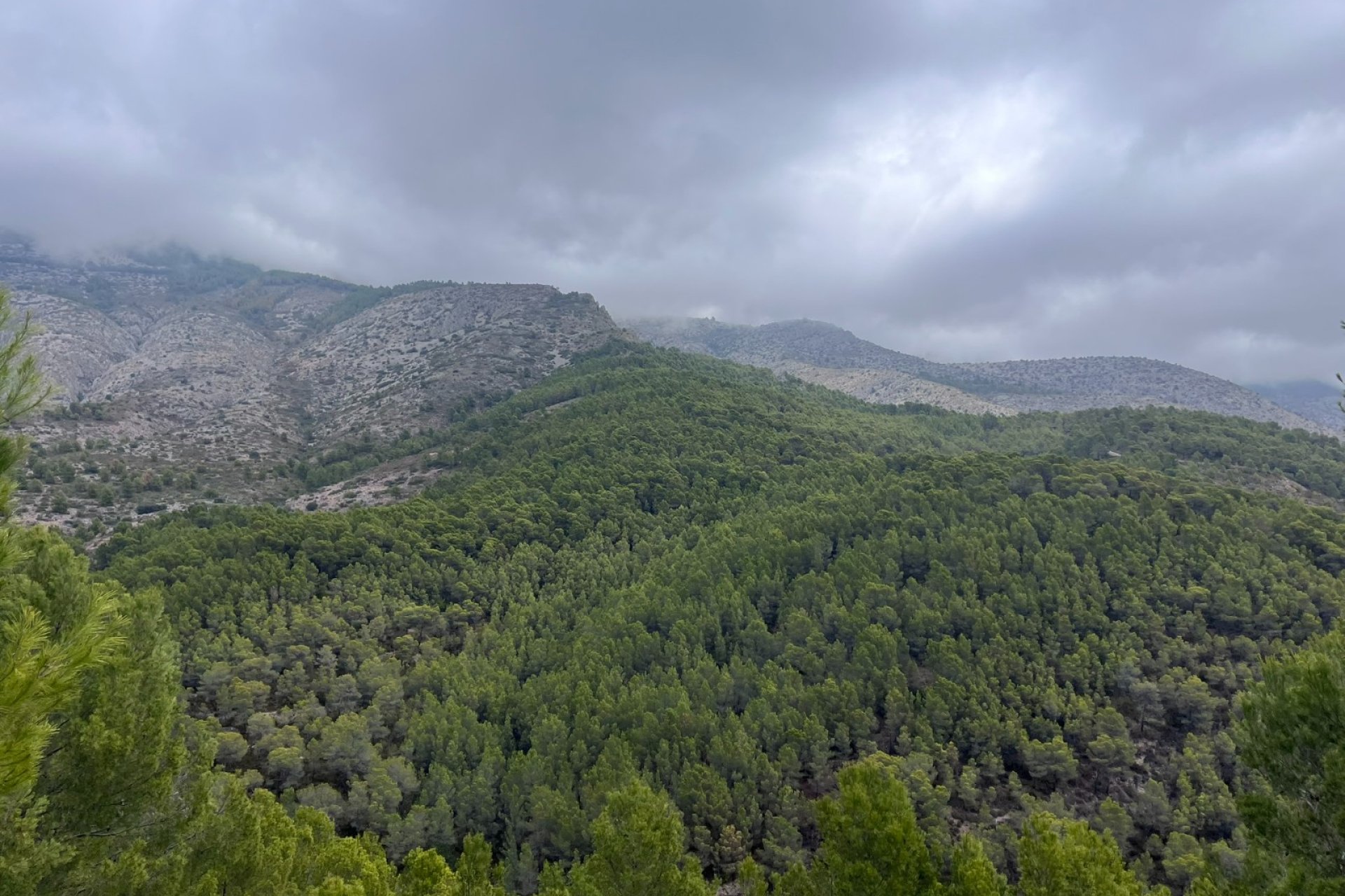 Resale - Plot -
Altea - Sierra de Altea
