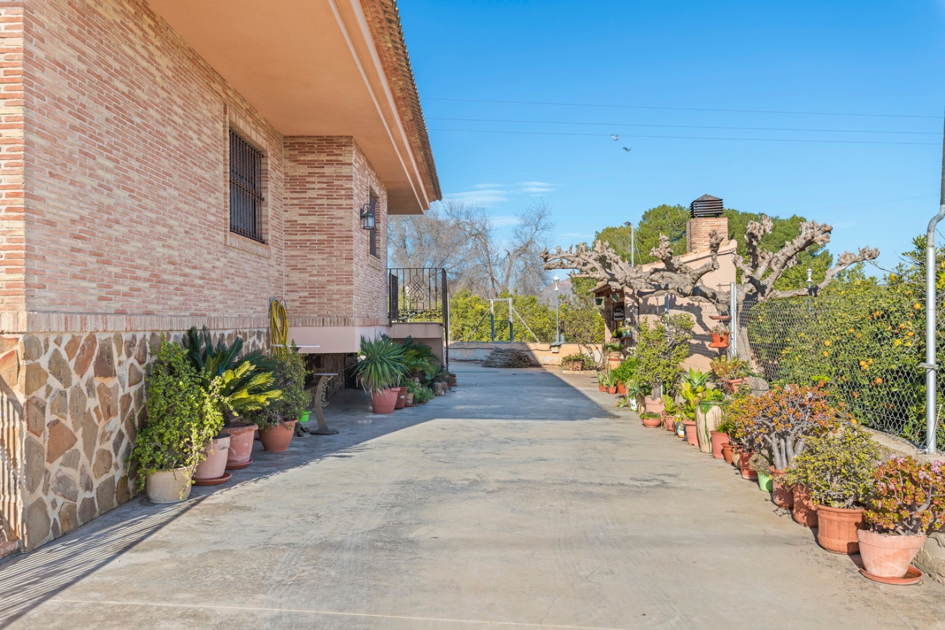 Reventa - Finca -
Beniel - Carretera de Beniel