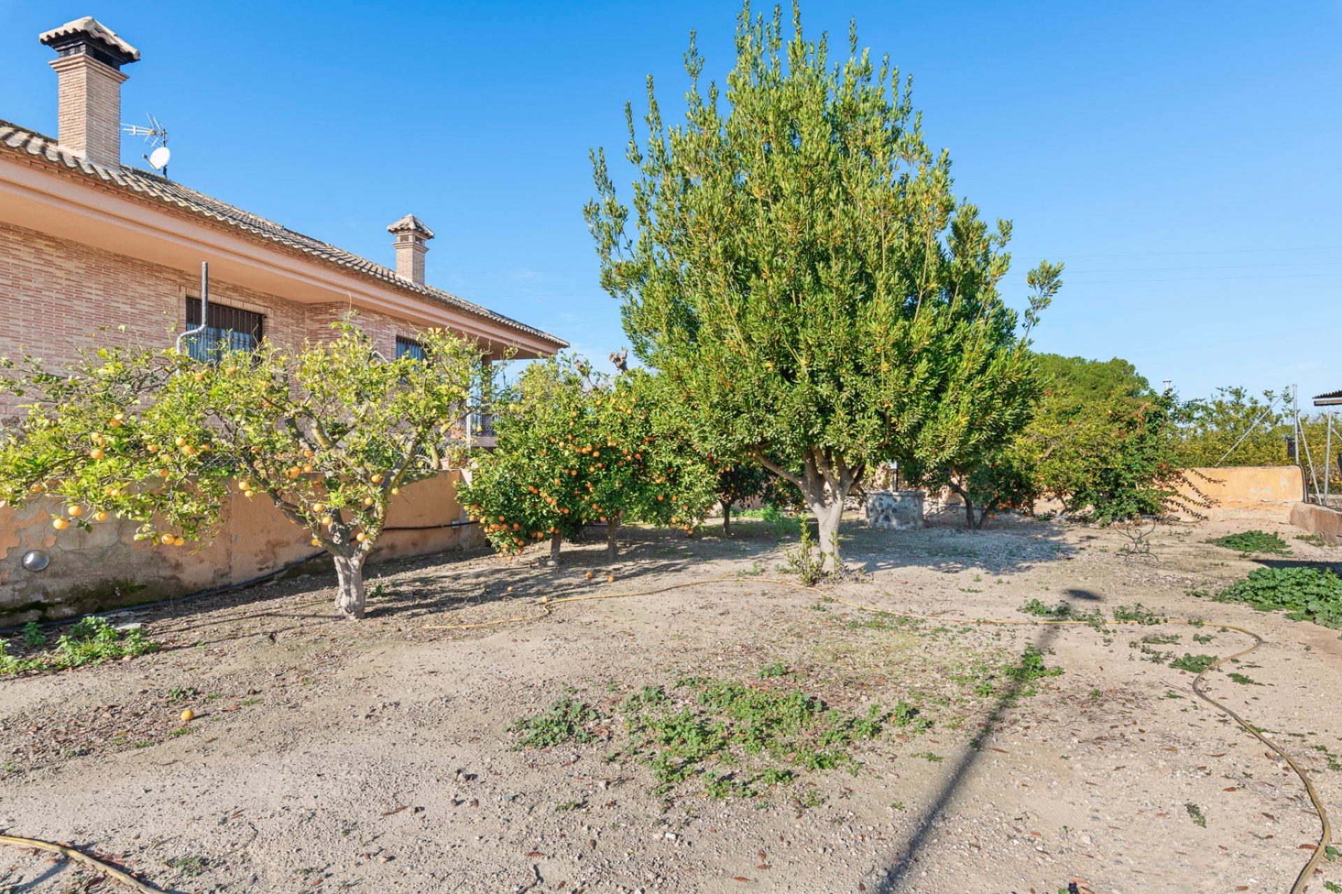 Reventa - Finca -
Beniel - Carretera de Beniel