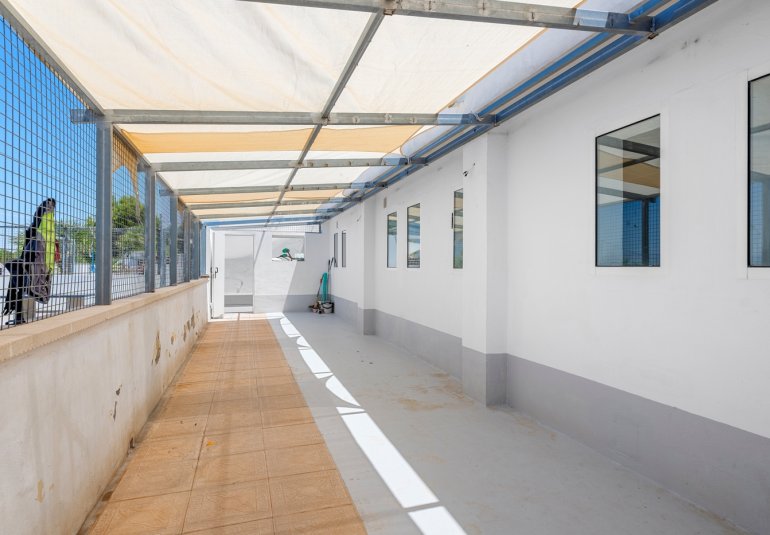 Reventa - Finca -
Los Montesinos - La herrada