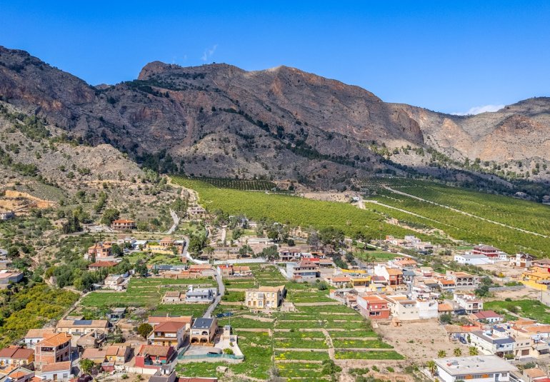 Reventa - Finca -
Orihuela