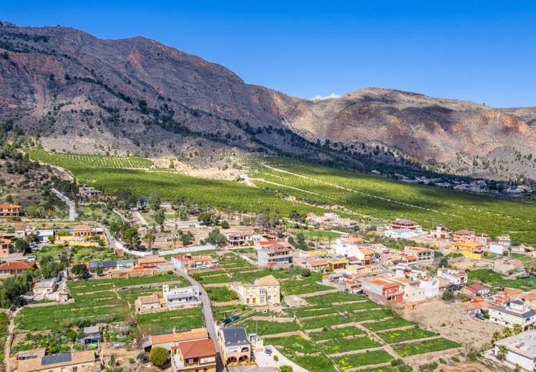 Reventa - Finca -
Orihuela