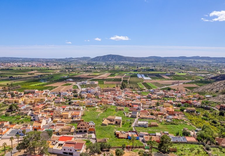 Reventa - Finca -
Orihuela