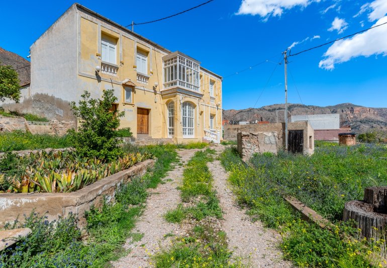Reventa - Finca -
Orihuela