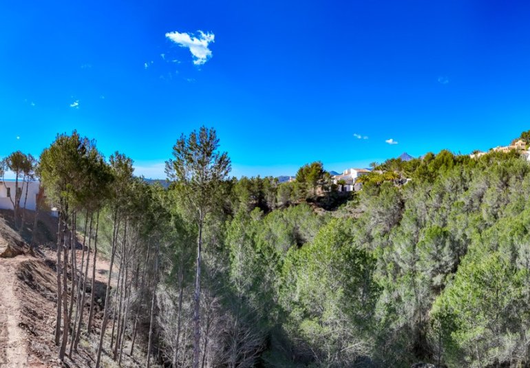 Reventa - Parcela -
Altea - Sierra de Altea