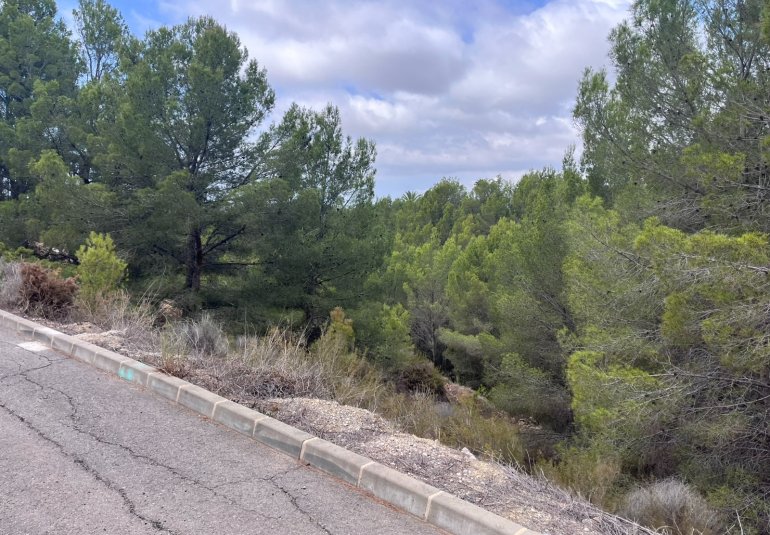 Reventa - Parcela -
Altea - Sierra de Altea