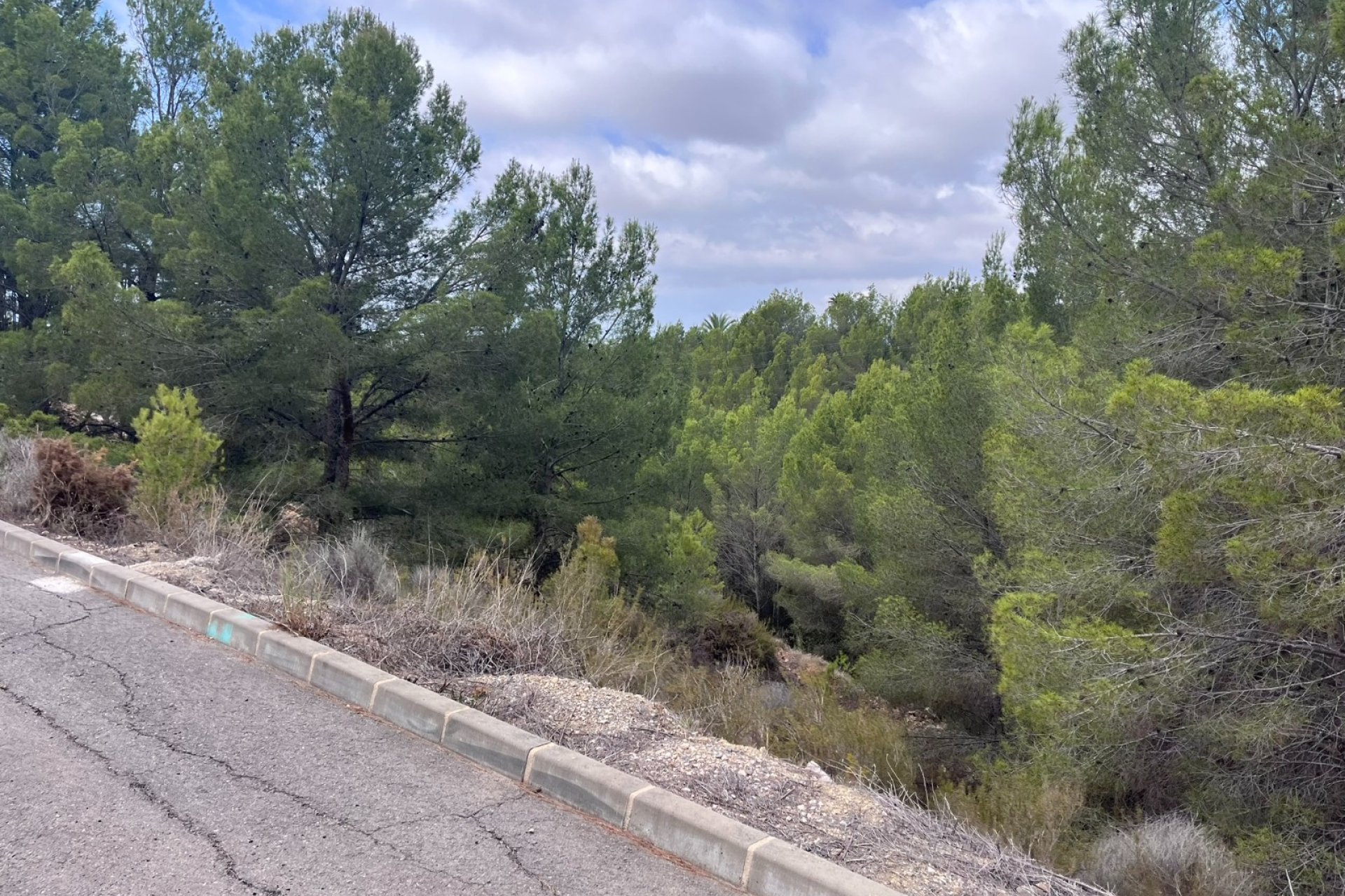 Reventa - Parcela -
Altea - Sierra de Altea