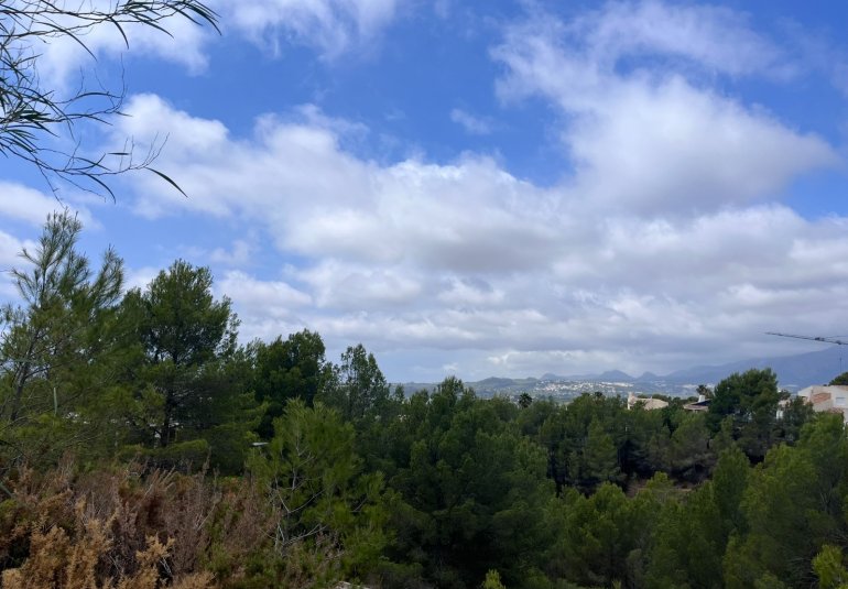 Reventa - Parcela -
Altea - Sierra de Altea