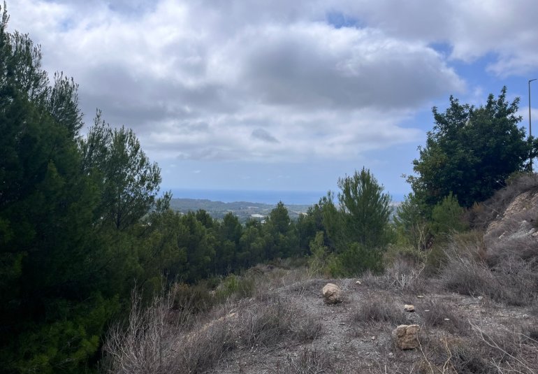 Reventa - Parcela -
Altea - Sierra de Altea