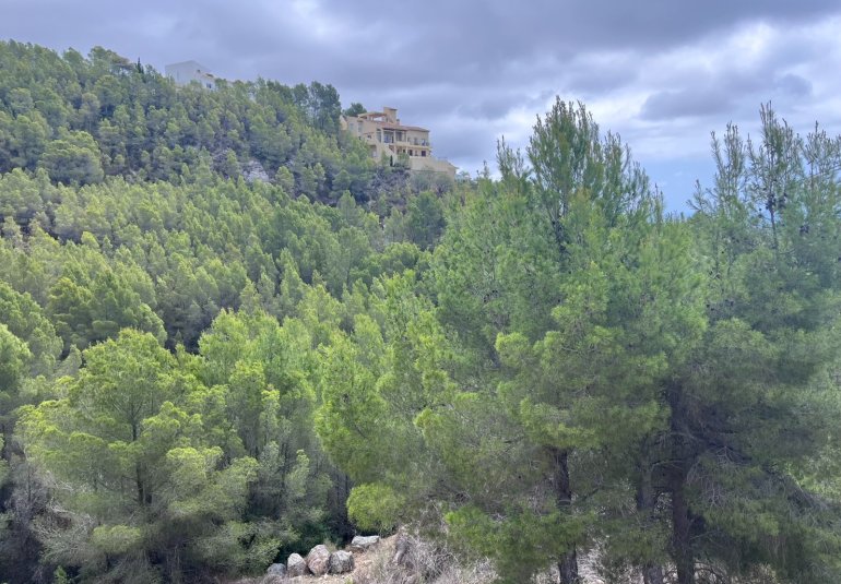 Reventa - Parcela -
Altea - Sierra de Altea