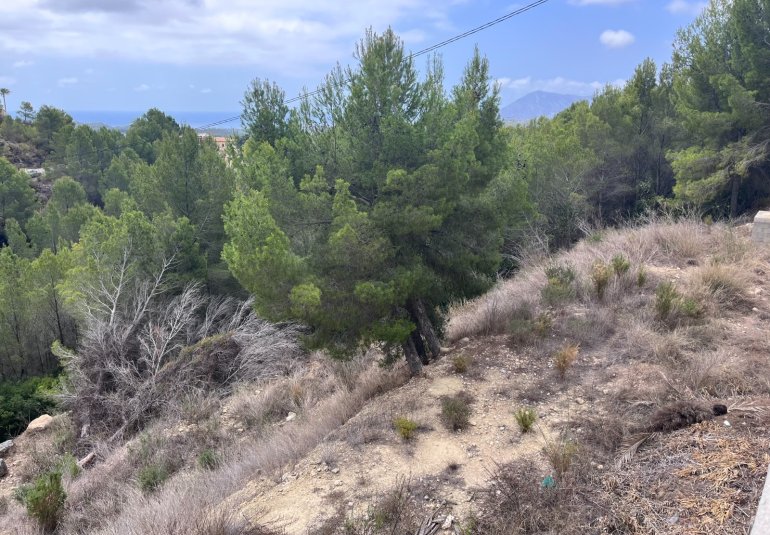 Reventa - Parcela -
Altea - Sierra de Altea