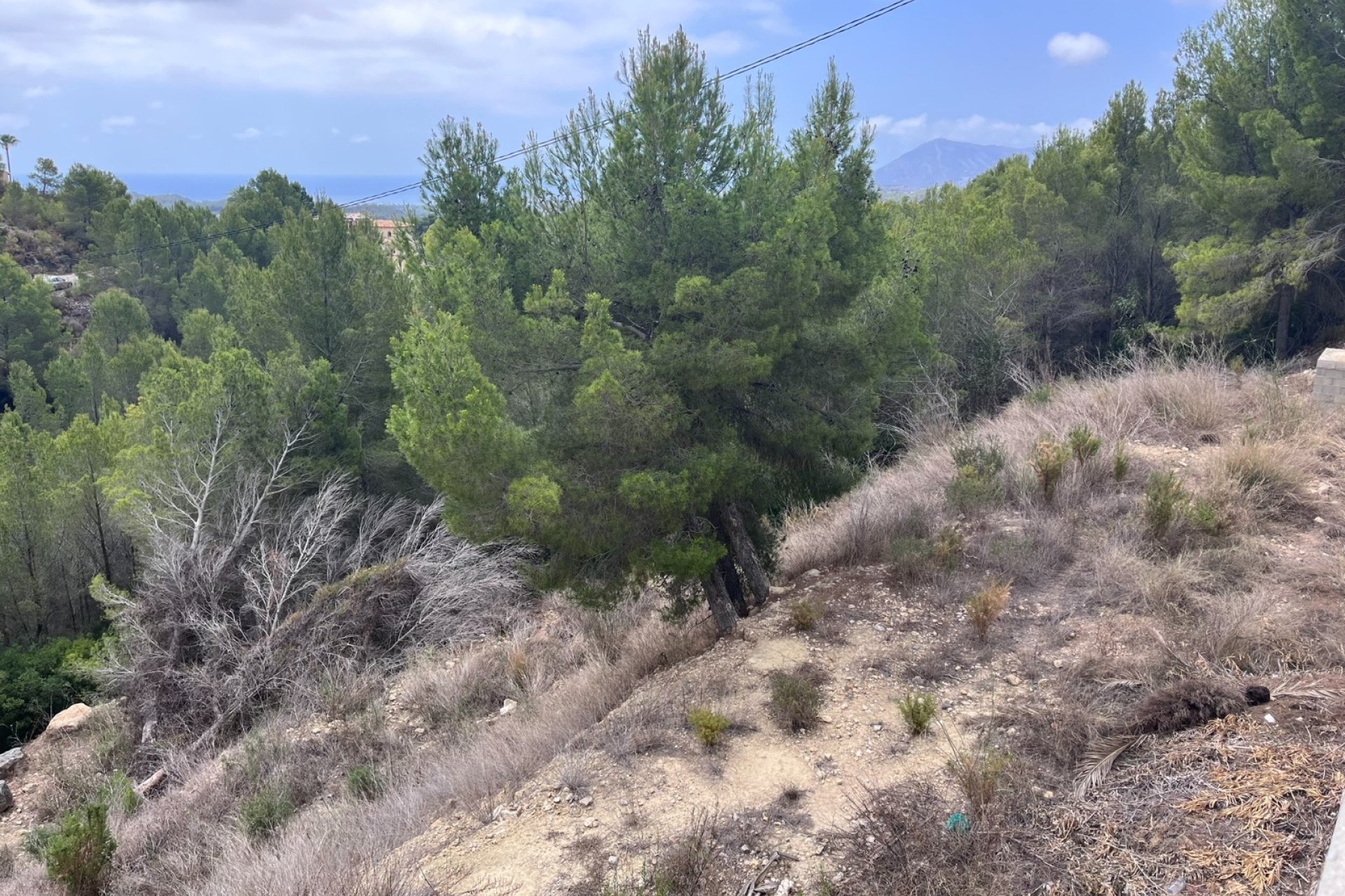 Reventa - Parcela -
Altea - Sierra de Altea