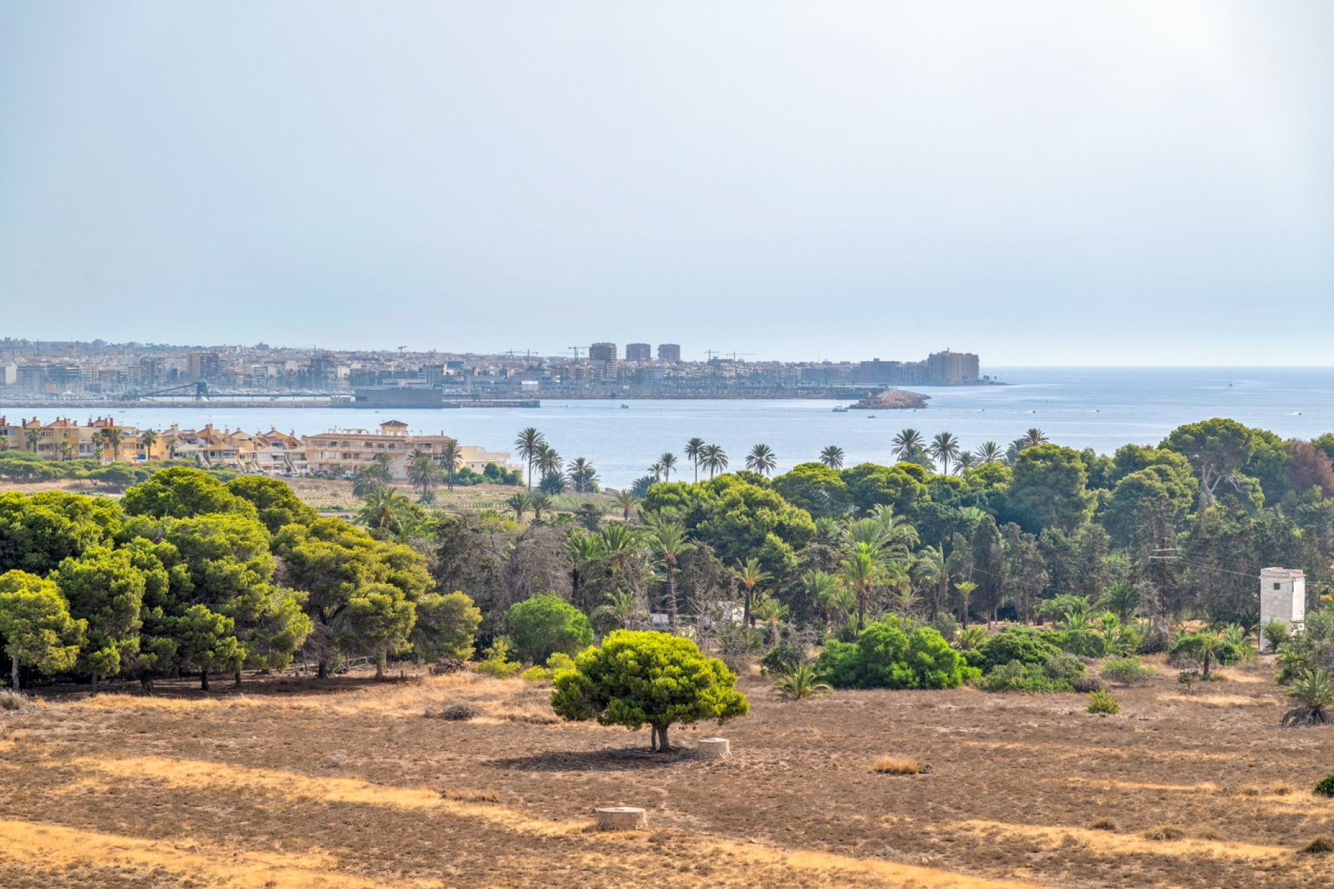 Reventa - Piso -
Torrevieja - Punta Prima