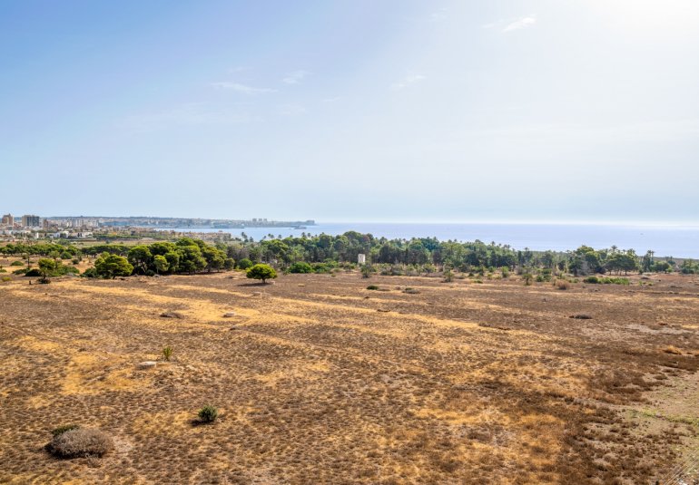 Reventa - Piso -
Torrevieja - Punta Prima