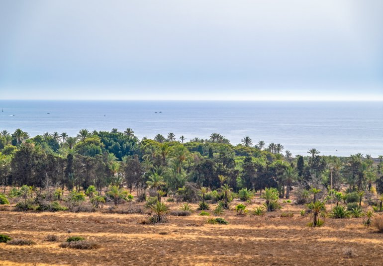Reventa - Piso -
Torrevieja - Punta Prima