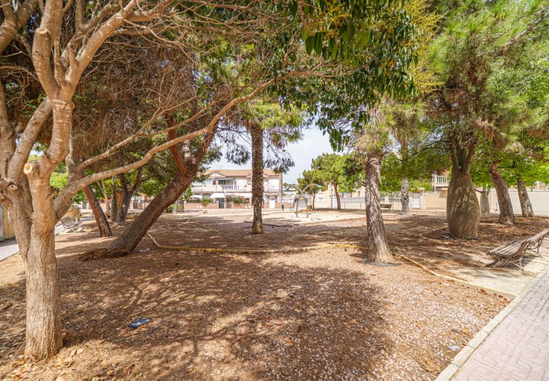Reventa - Piso -
Torrevieja