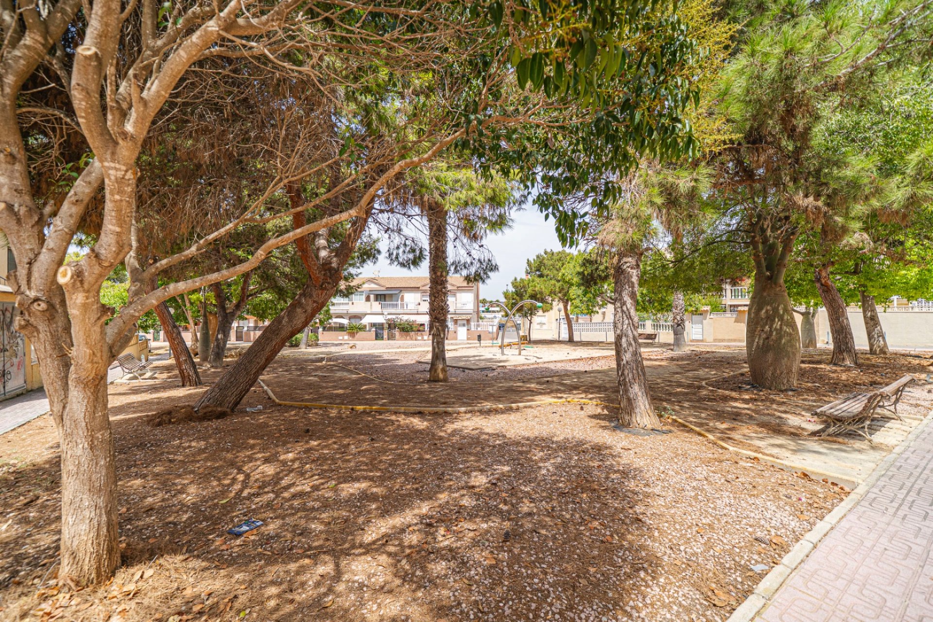 Reventa - Piso -
Torrevieja