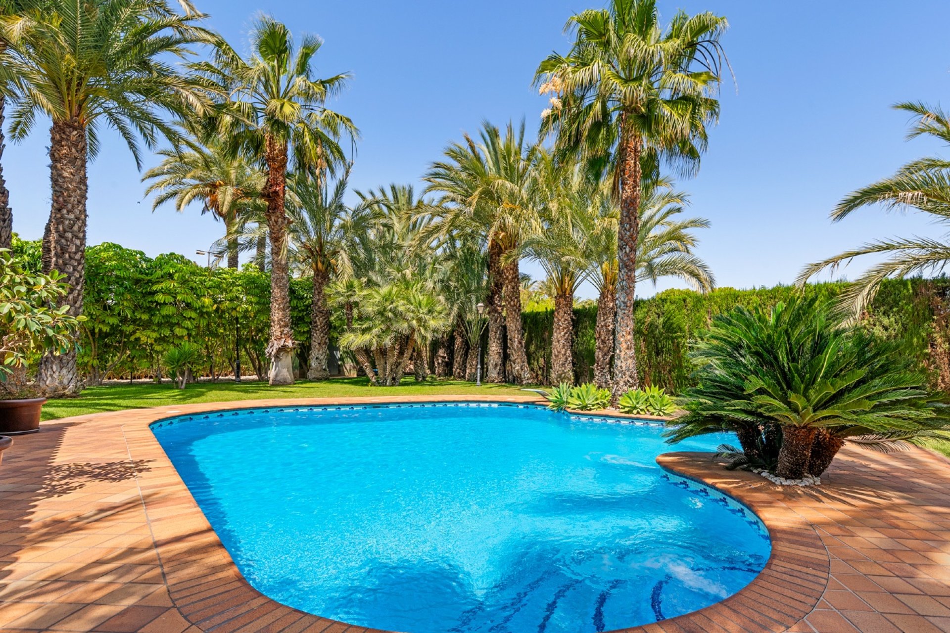 Reventa - Villa -
Elche/Elx
