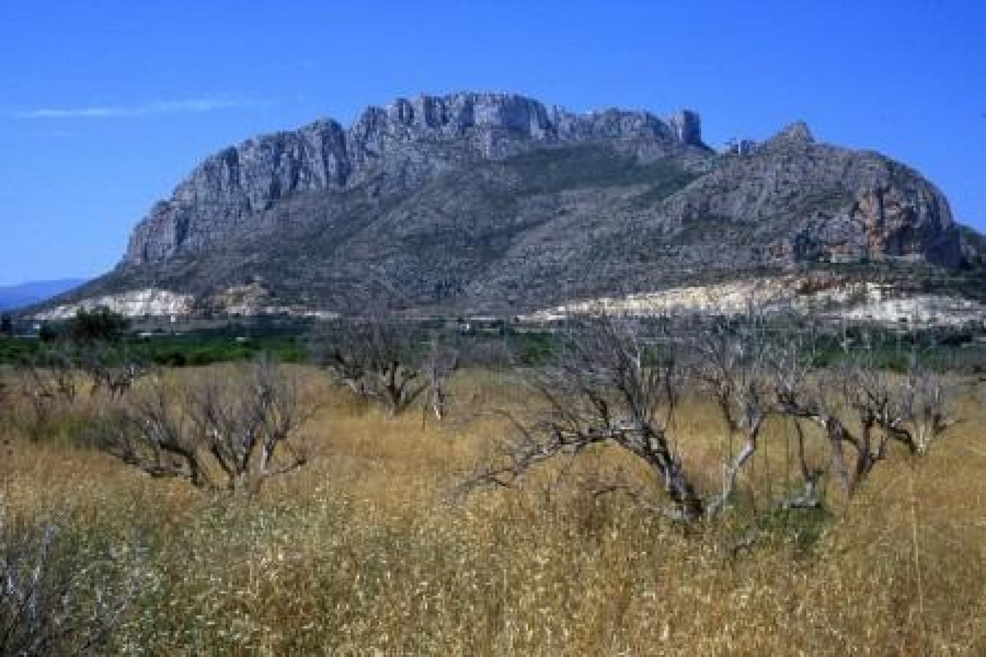 Rynek Pierwotny - Apartament -
Denia - El Verger