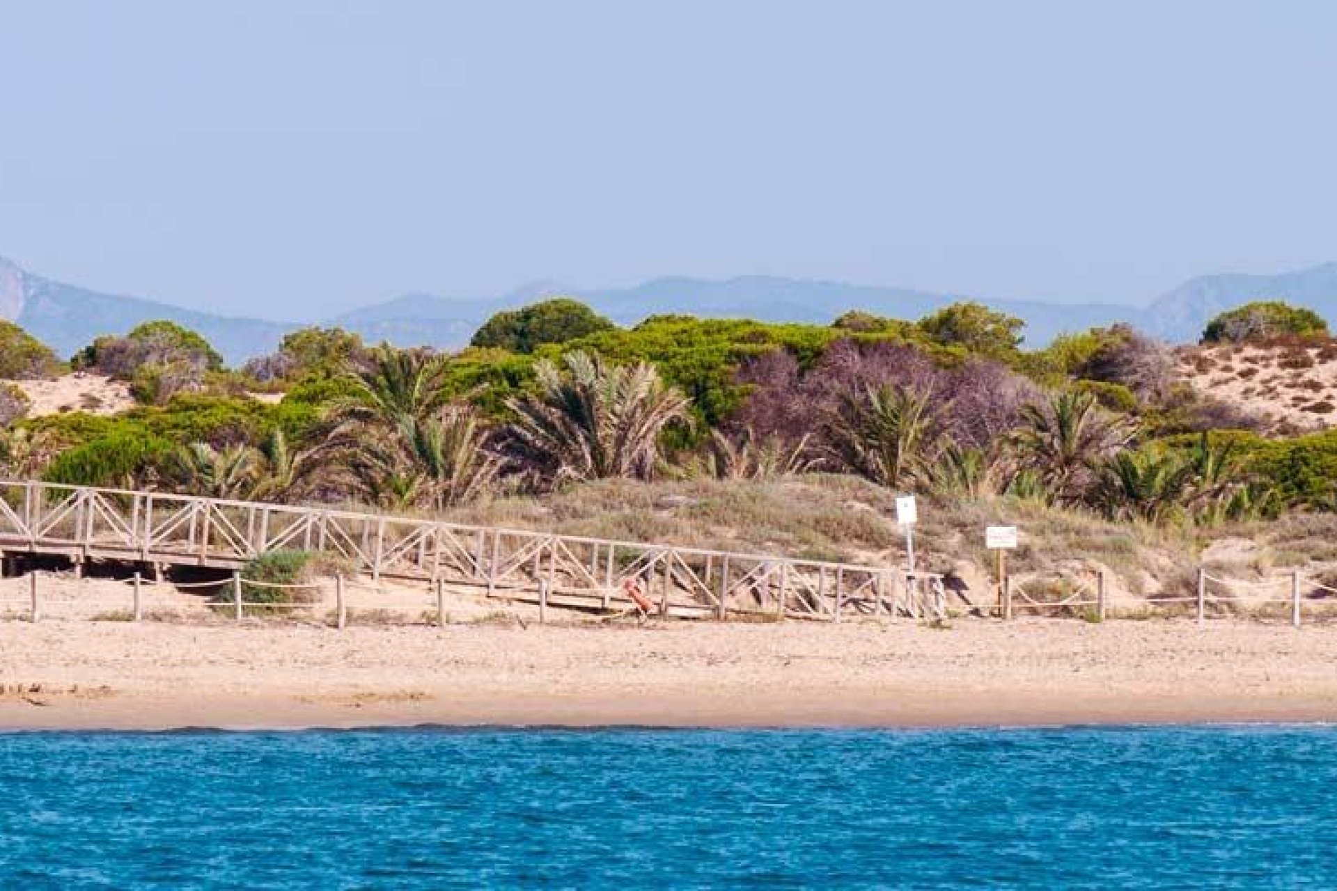 Rynek Pierwotny - Apartament -
Guardamar del Segura - Pueblo