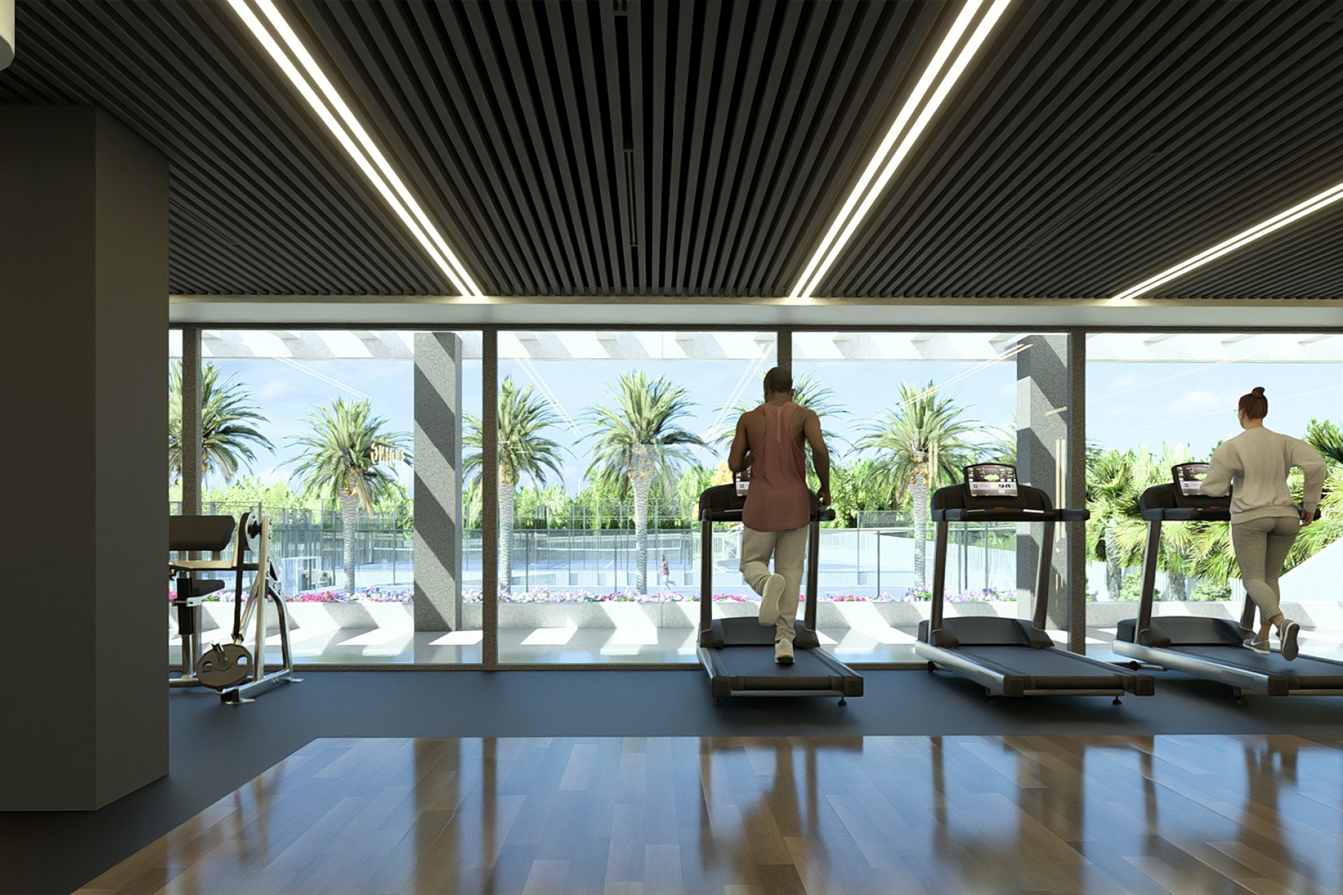 Rynek Pierwotny - Apartament -
﻿Torrevieja (Alicante) - Spain