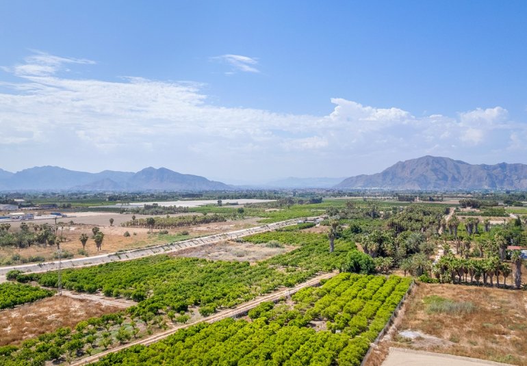 Rynek Pierwotny - Apartament -
Jacarilla