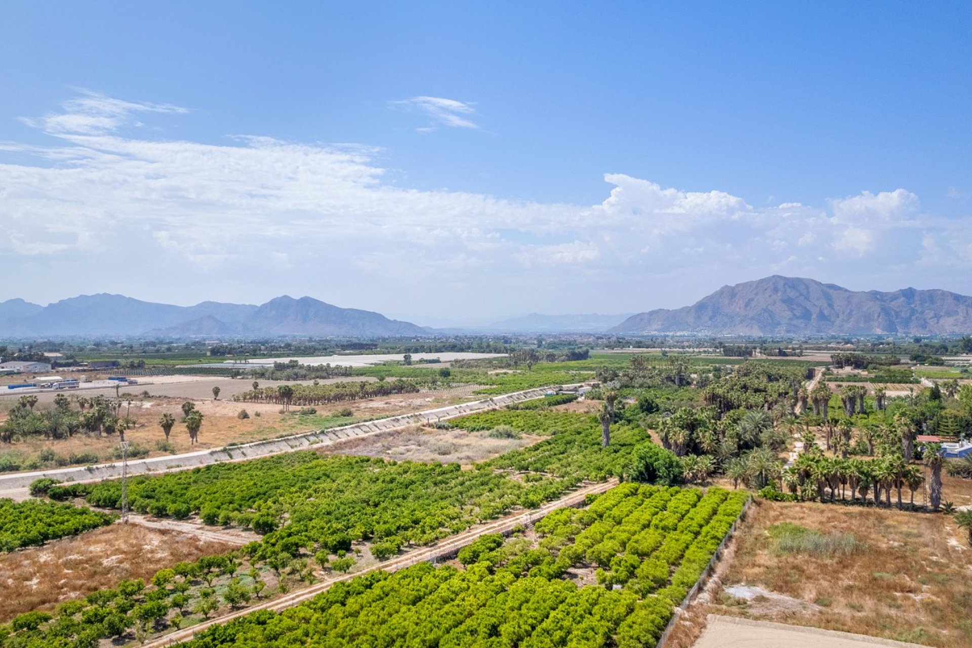 Rynek Pierwotny - Apartament -
Jacarilla
