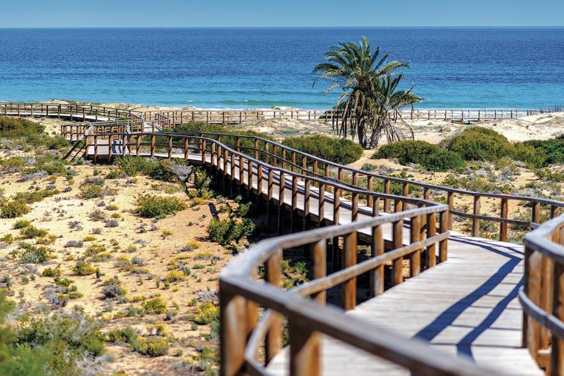 Rynek Pierwotny - Apartament -
Monforte del Cid - Alenda Golf