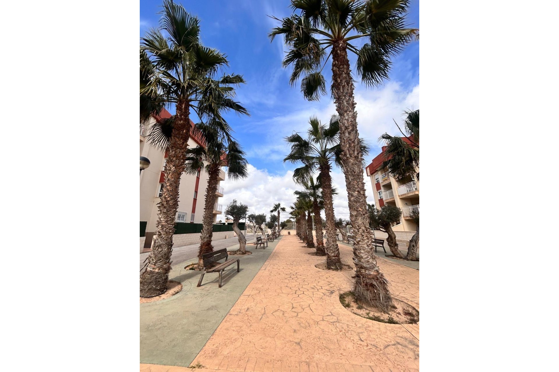 Rynek Pierwotny - Apartament -
Orihuela Costa - Lomas de Cabo Roig