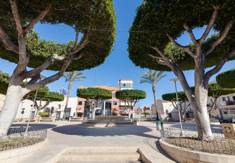 Rynek Pierwotny - Apartament -
San Fulgencio - Pueblo