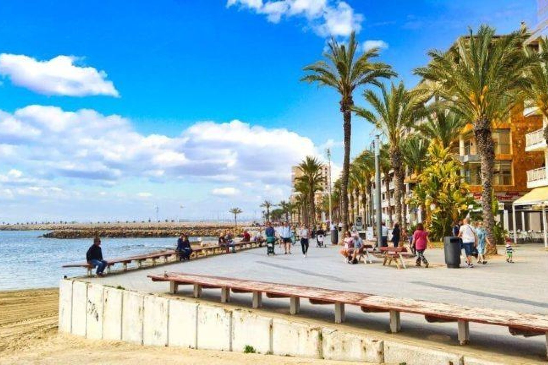 Rynek Pierwotny - Apartament -
Torrevieja - Playa de El Cura