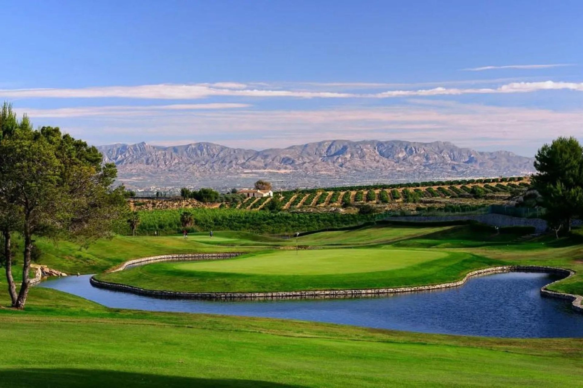 Rynek Pierwotny - Bungalow -
Algorfa - La finca golf