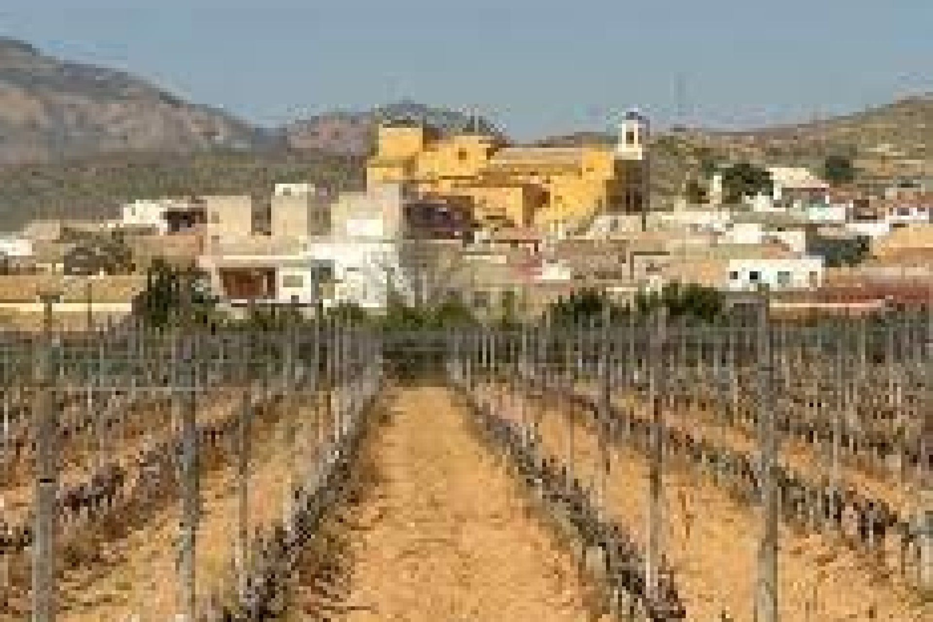 Rynek Pierwotny - Bungalow -
Hondón de las Nieves - El Salero