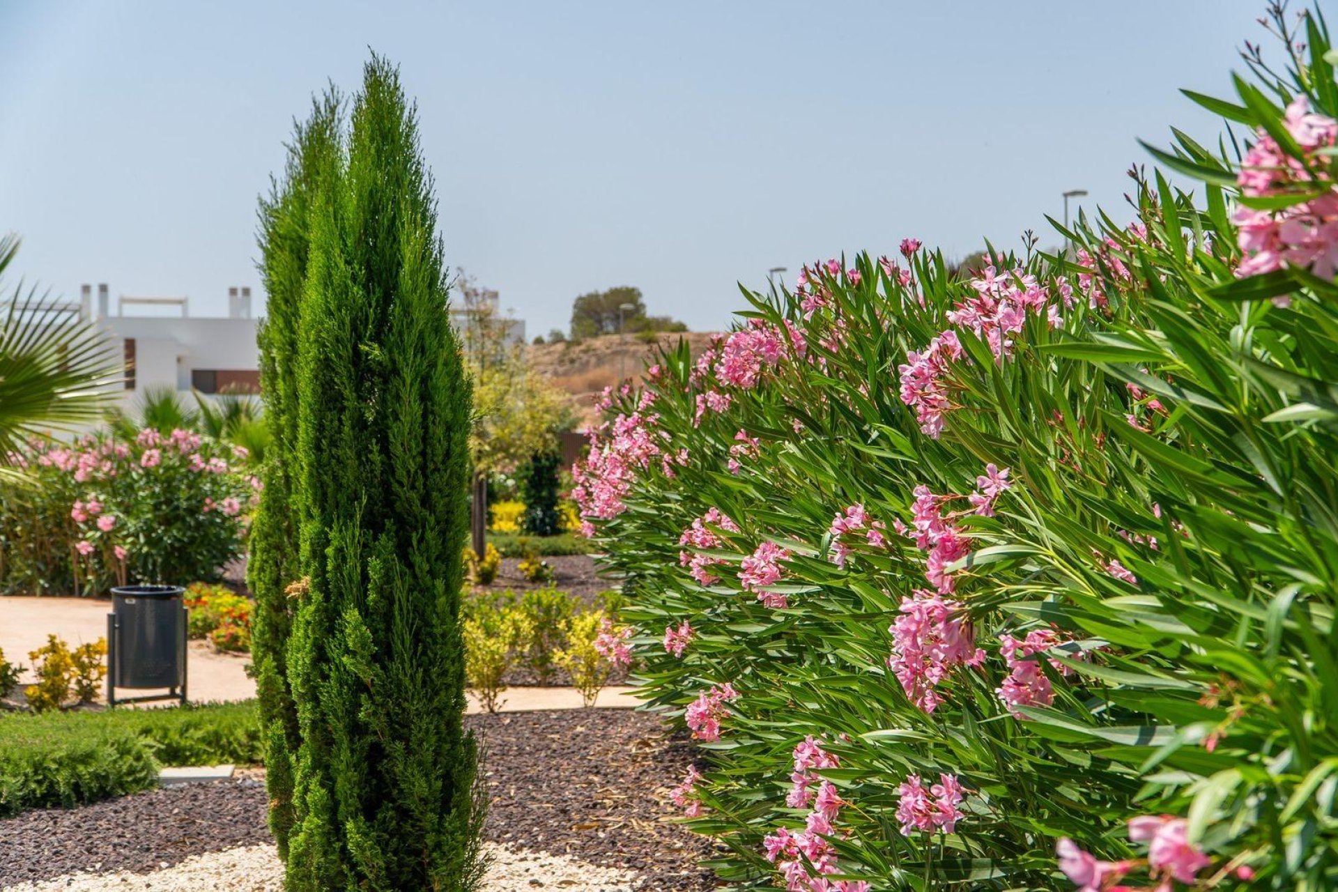 Rynek Pierwotny - Bungalow -
Orihuela - Vistabella Golf