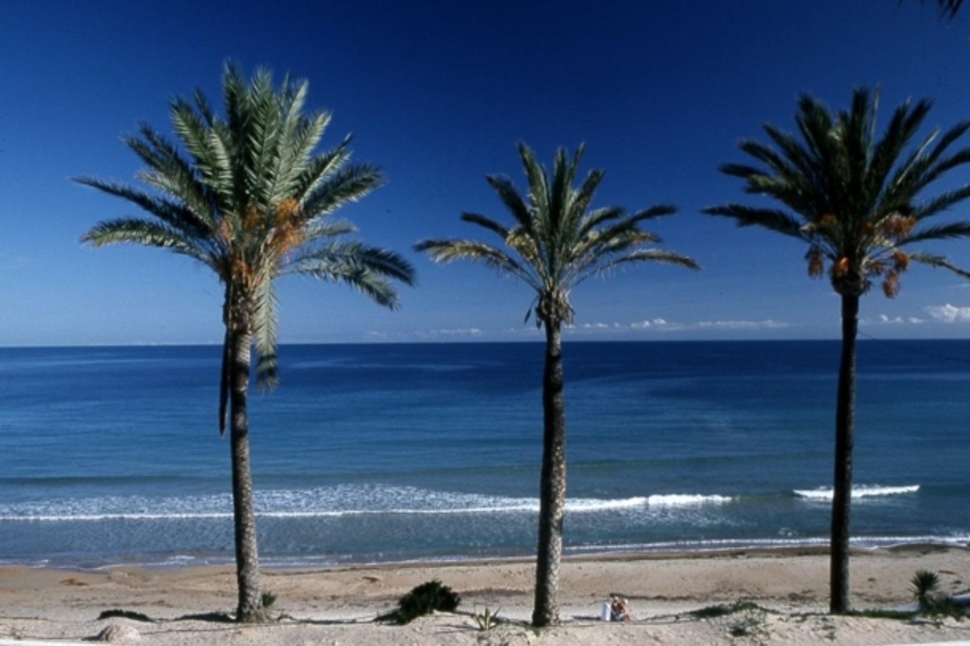 Rynek Pierwotny - Bungalow -
Pilar de la Horadada - Parque Ramon eugenio Escudero