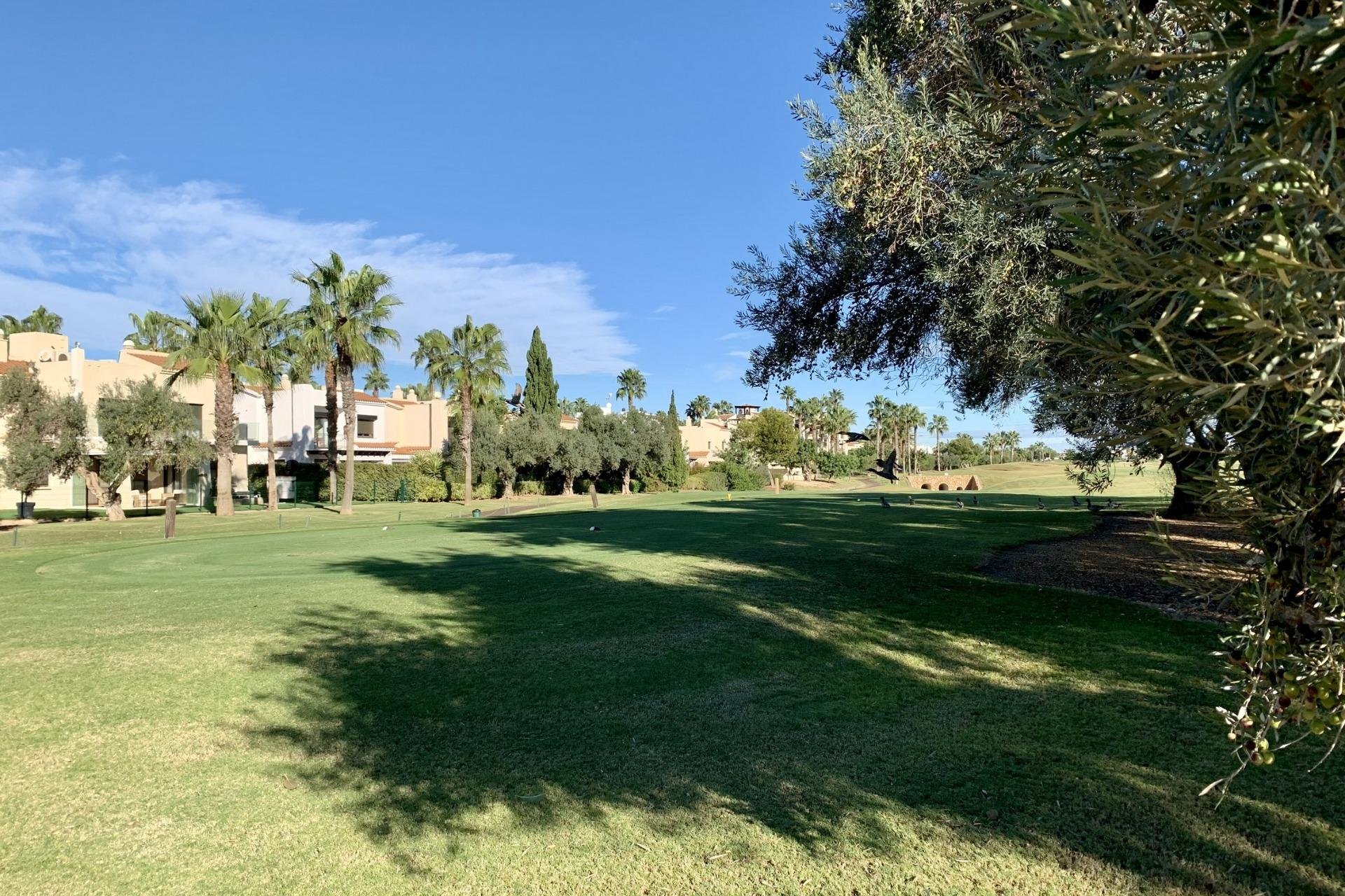 Rynek Pierwotny - Bungalow -
San Javier - Roda Golf