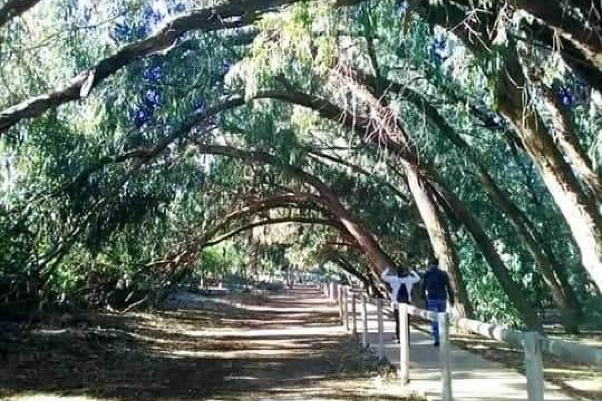 Rynek Pierwotny - Bungalow -
Torrevieja - Altos del Sol