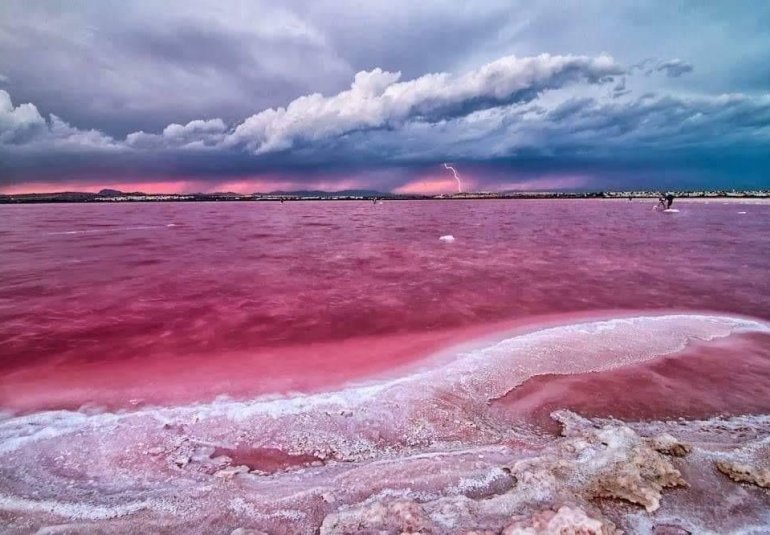 Rynek Pierwotny - Bungalow -
Torrevieja - Altos del Sol