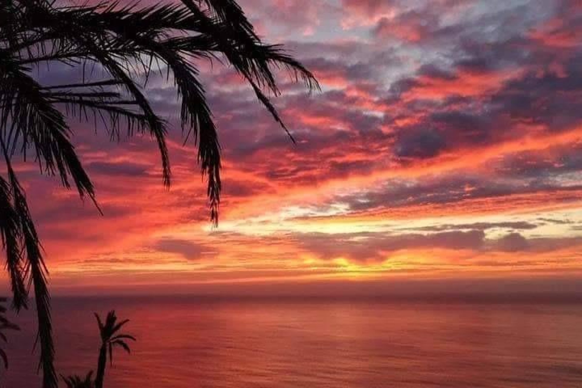 Rynek Pierwotny - Bungalow -
Torrevieja - Altos del Sol