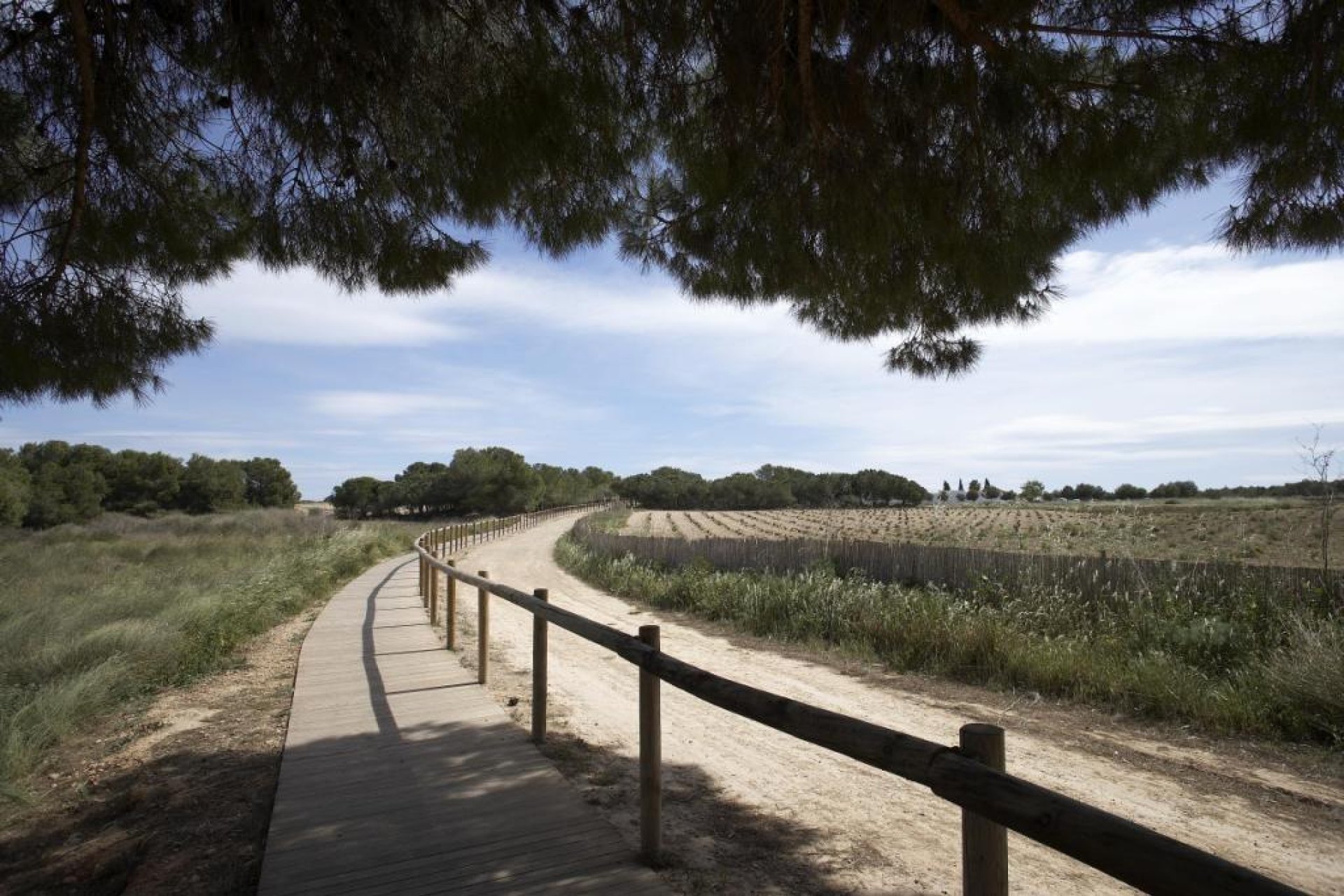Rynek Pierwotny - Bungalow -
Torrevieja - Altos del Sol