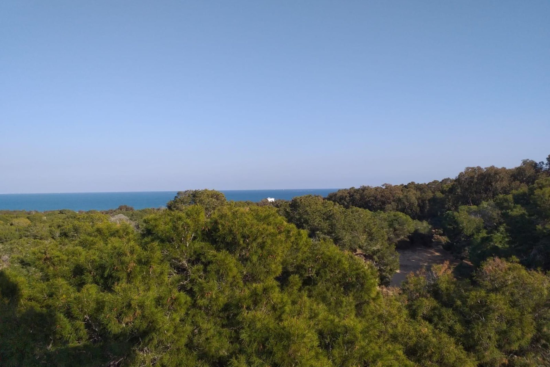 Rynek Pierwotny - Penthouse -
Guardamar del Segura - Pueblo