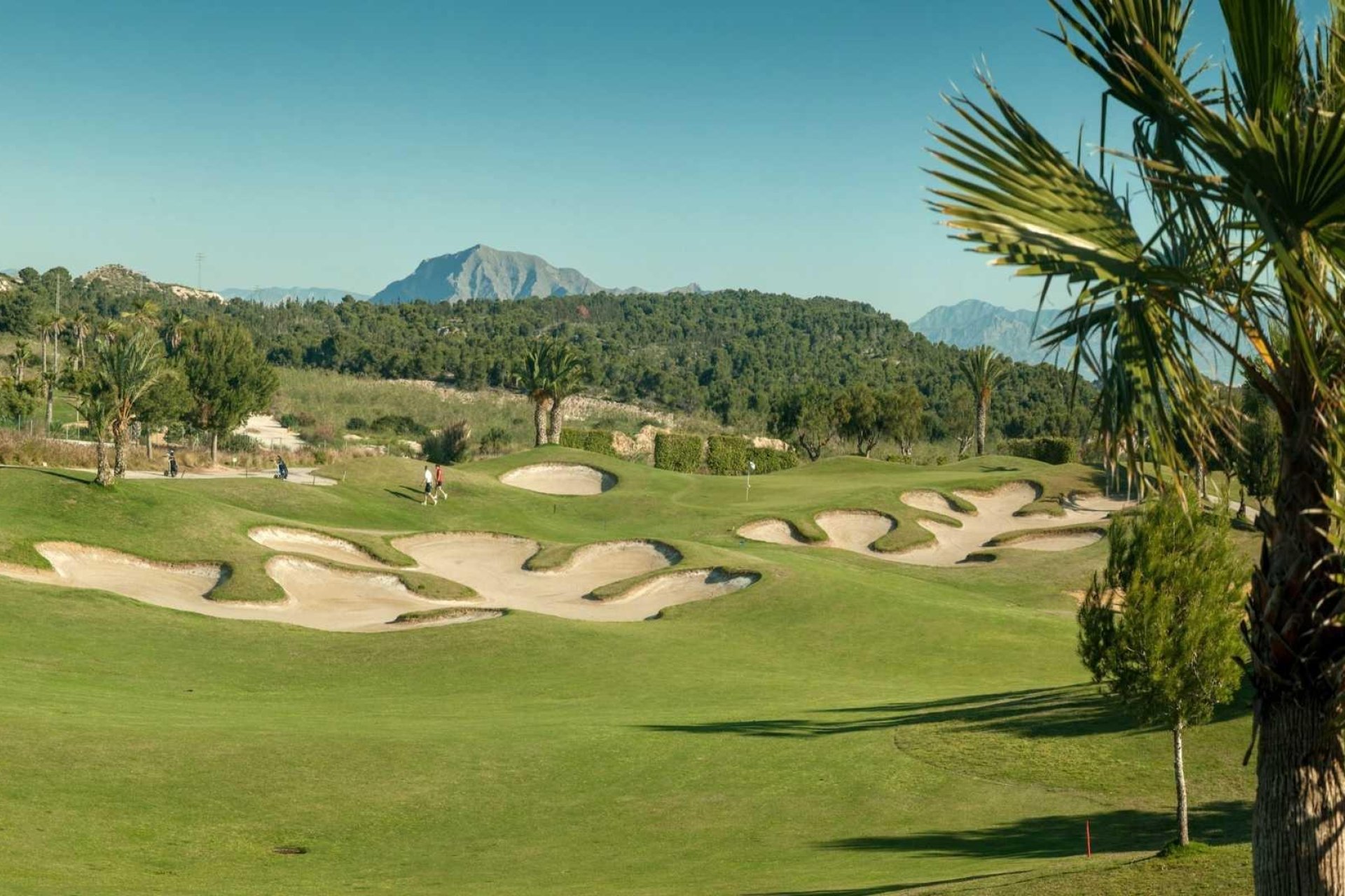 Rynek Pierwotny - Town House -
Orihuela - Vistabella Golf