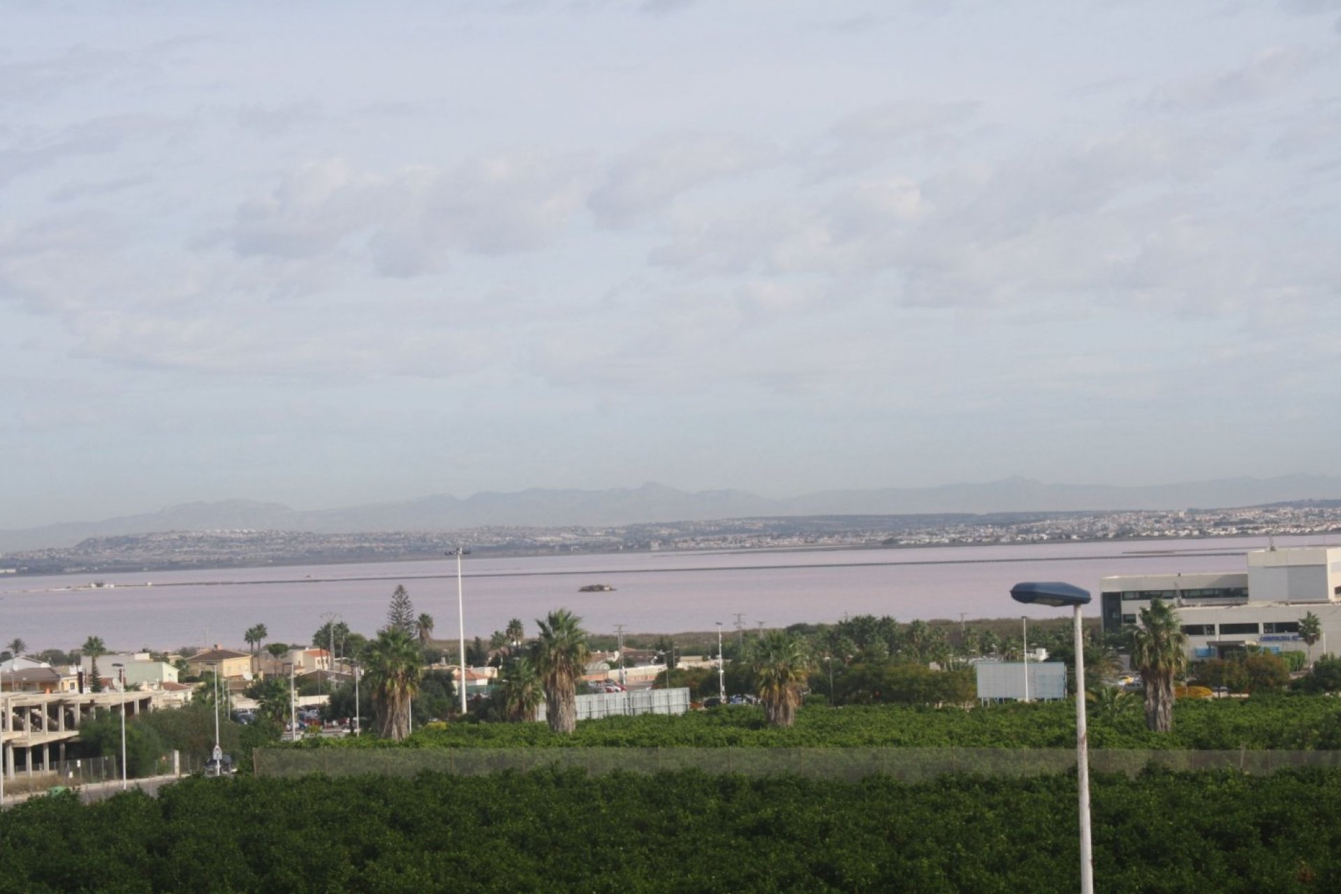 Rynek Pierwotny - Town House -
Torrevieja - Los Altos