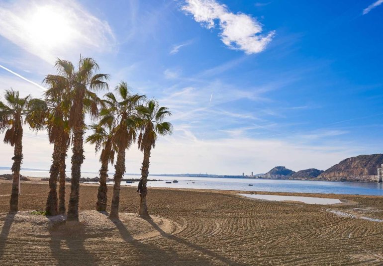 Rynek Pierwotny - Villa -
Els Poblets - Partida Barranquets