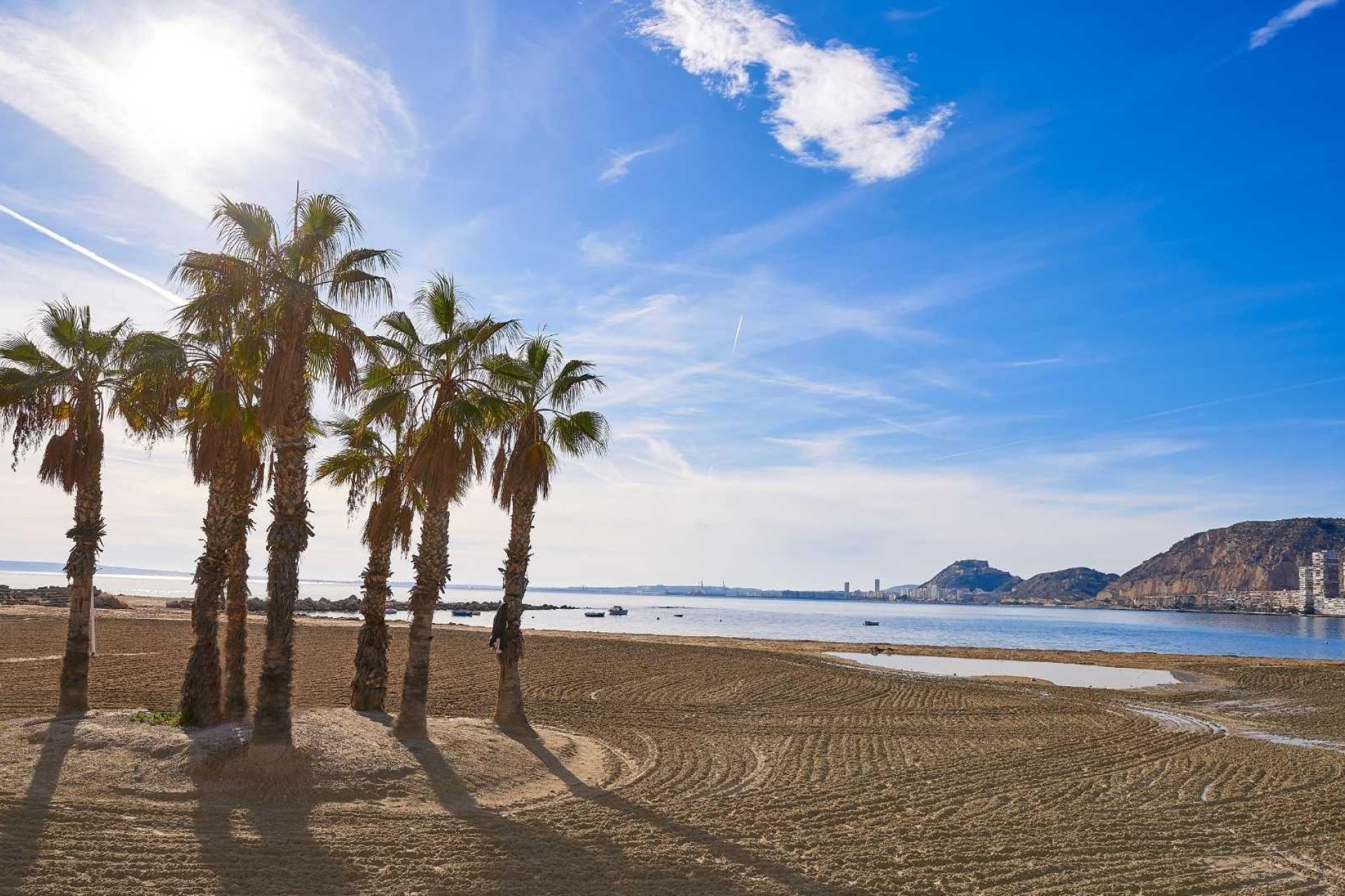 Rynek Pierwotny - Villa -
Els Poblets - Partida Barranquets