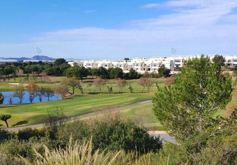 Rynek Pierwotny - Villa -
Pilar de la Horadada - Lo Romero Golf