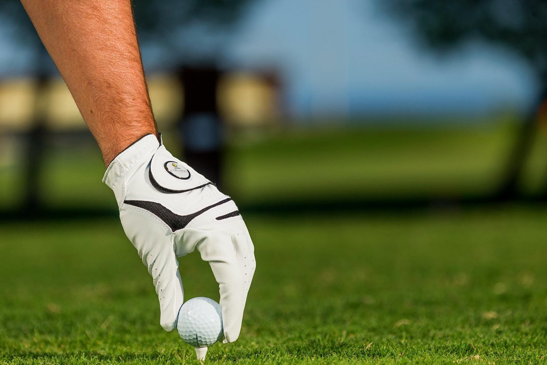 Rynek Pierwotny - Villa -
Pilar de la Horadada - Lo Romero Golf